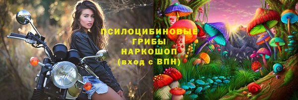 дживик Балахна