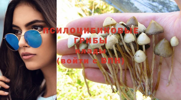 дживик Балахна