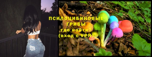 дживик Балахна
