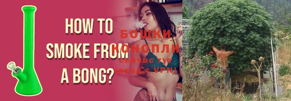 дмт Балабаново