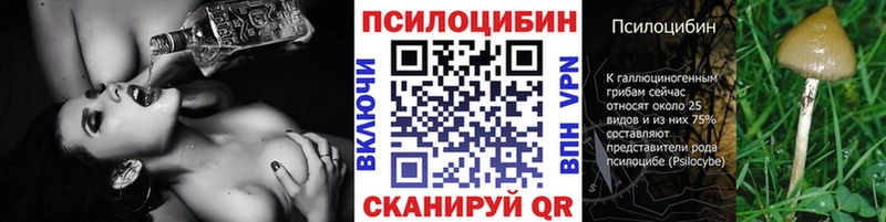 Галлюциногенные грибы Magic Shrooms  Чекалин 